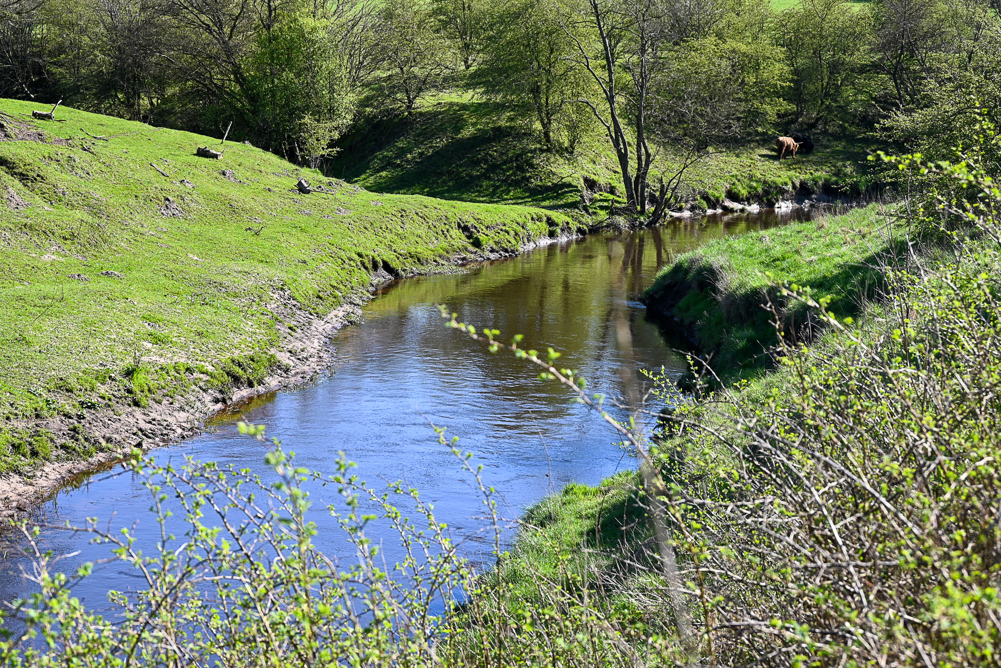 Uggerby Å – Nordjyllands smukke naturperle